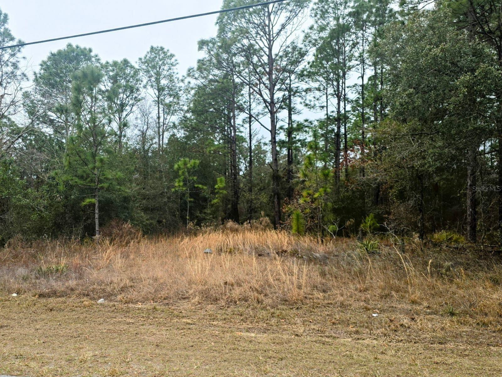 7372 N MALTESE DR, CITRUS SPRINGS, FL, 34433