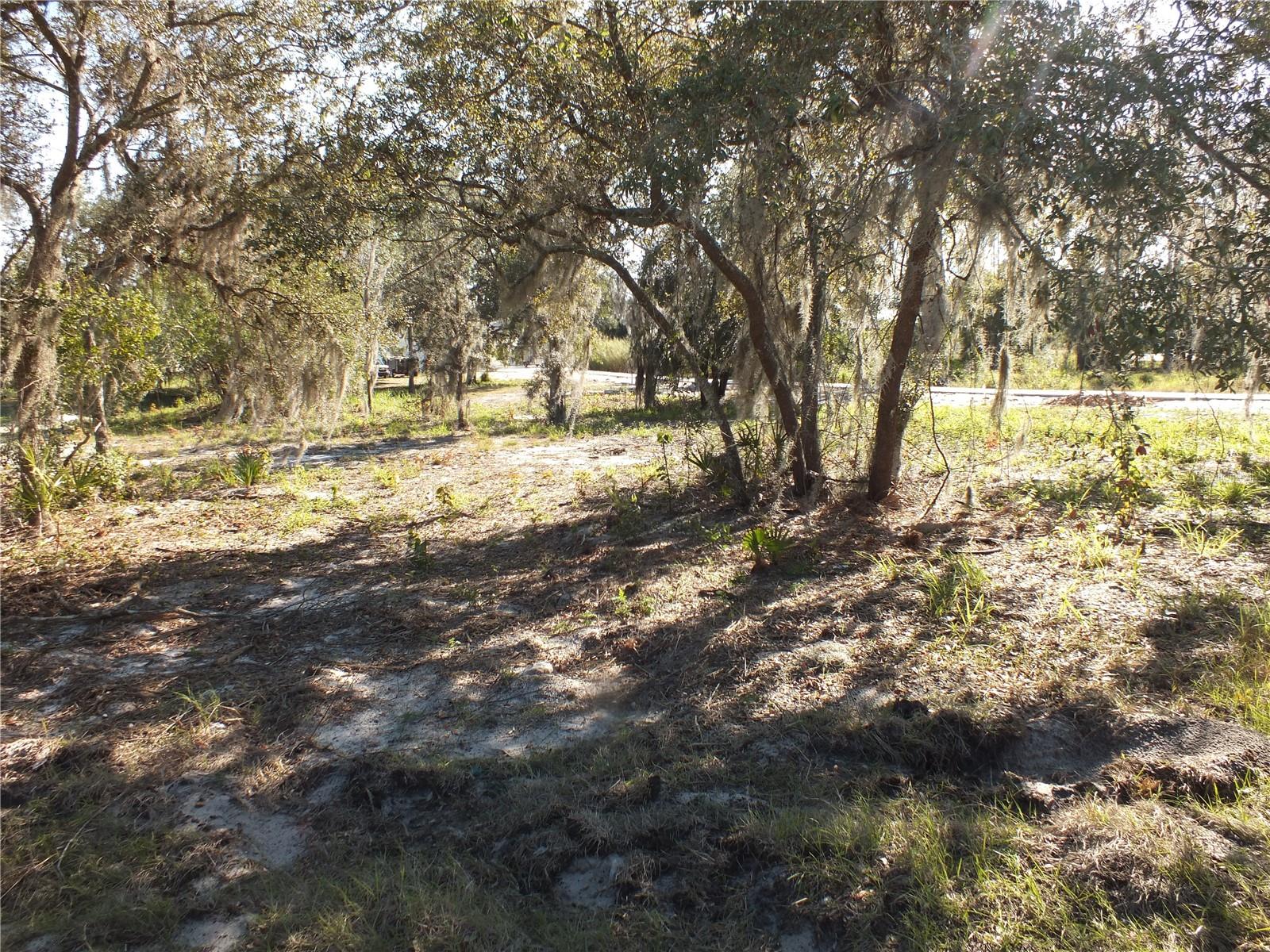 100 BRIGHAM RD NW, WINTER HAVEN, FL, 33881