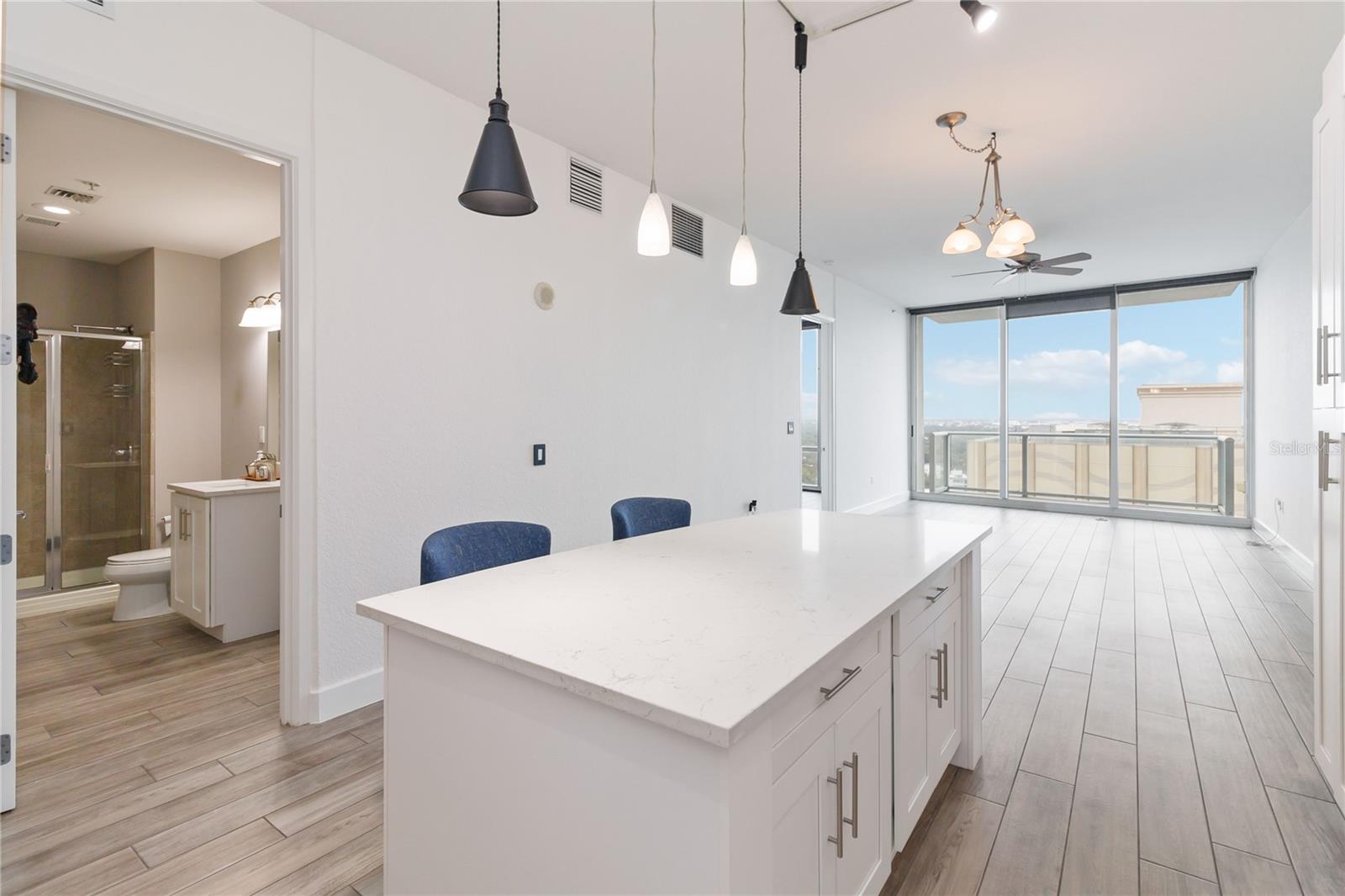 150 E ROBINSON ST #1709, ORLANDO, FL, 32801