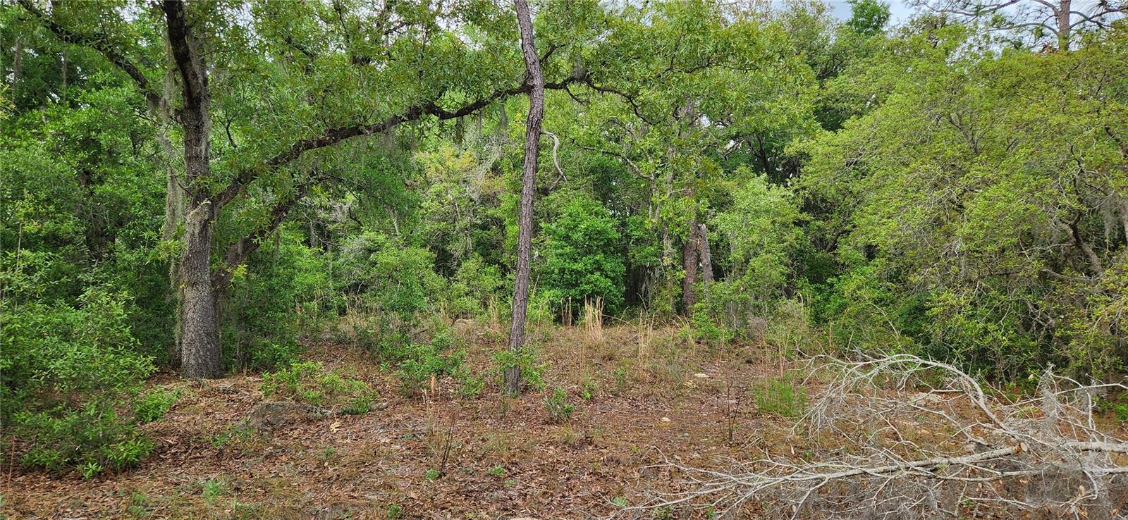 TBD SW 98TH PL, DUNNELLON, FL, 34431