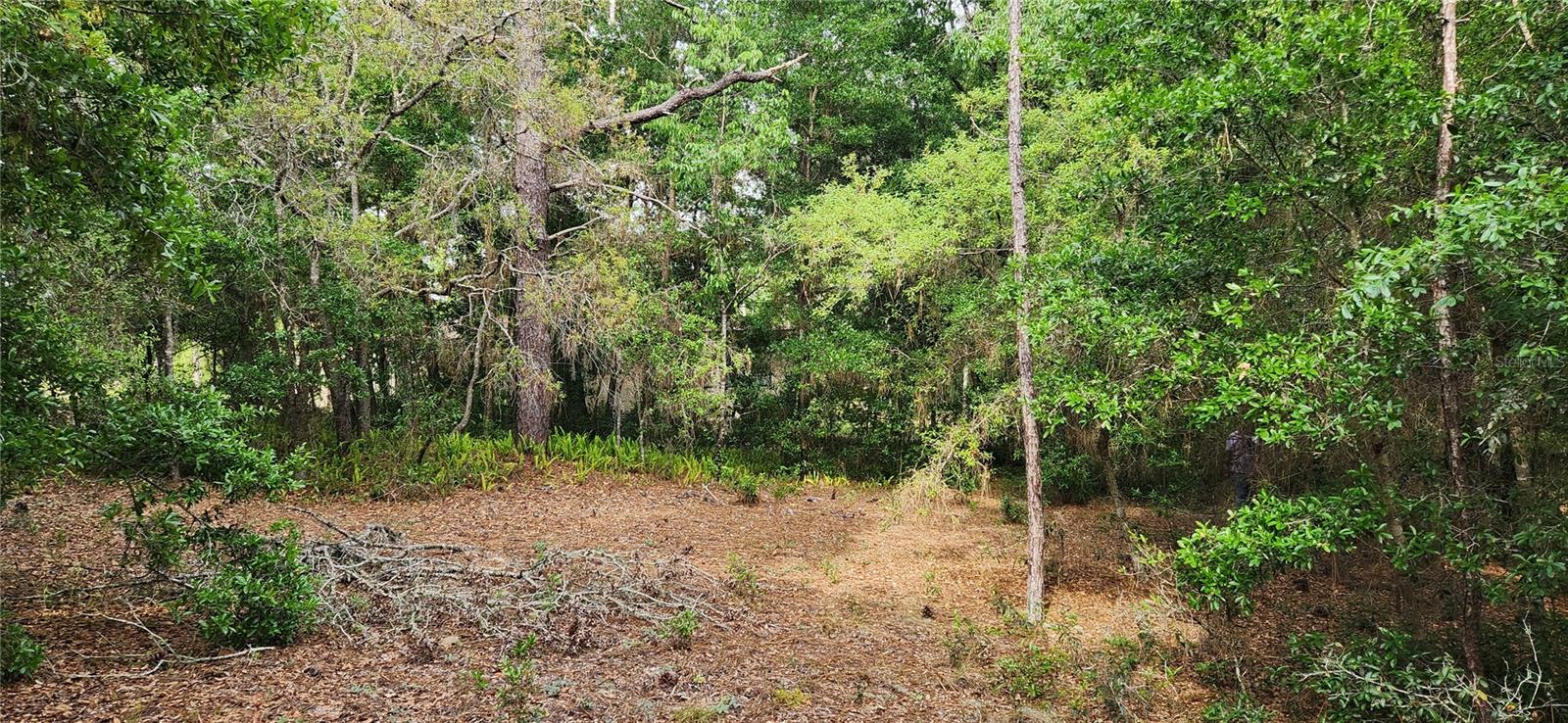 TBD SW 98TH PL, DUNNELLON, FL, 34431