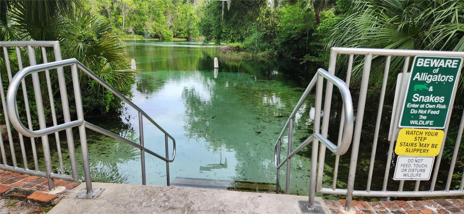 TBD SW 98TH PL, DUNNELLON, FL, 34431