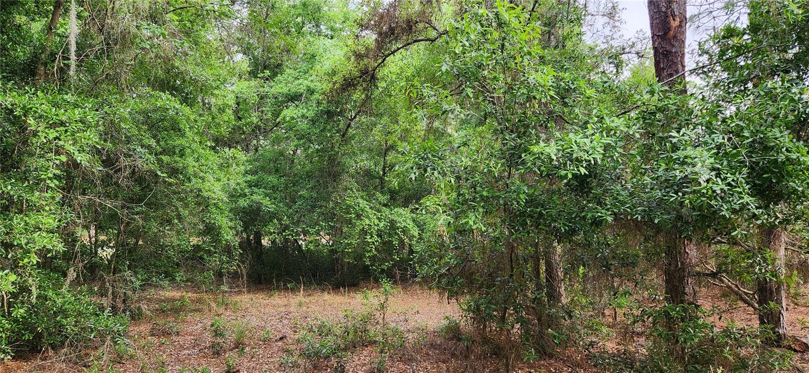 TBD SW 98TH PL, DUNNELLON, FL, 34431