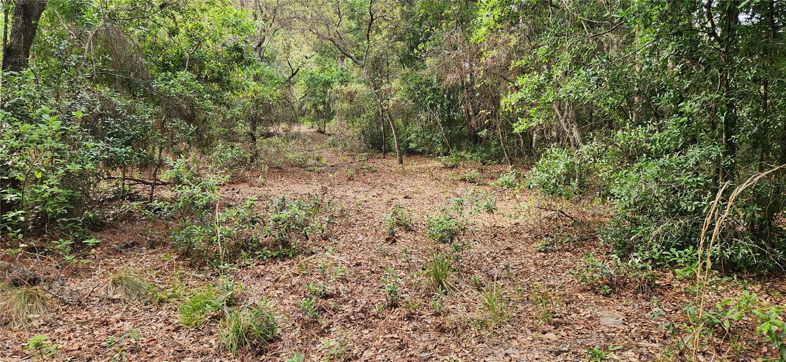 TBD SW 98TH PL, DUNNELLON, FL, 34431