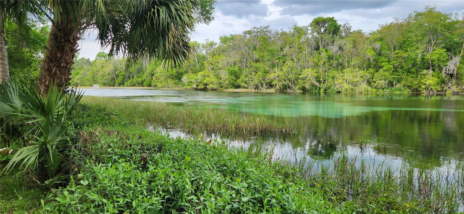 TBD SW 98TH PL, DUNNELLON, FL, 34431
