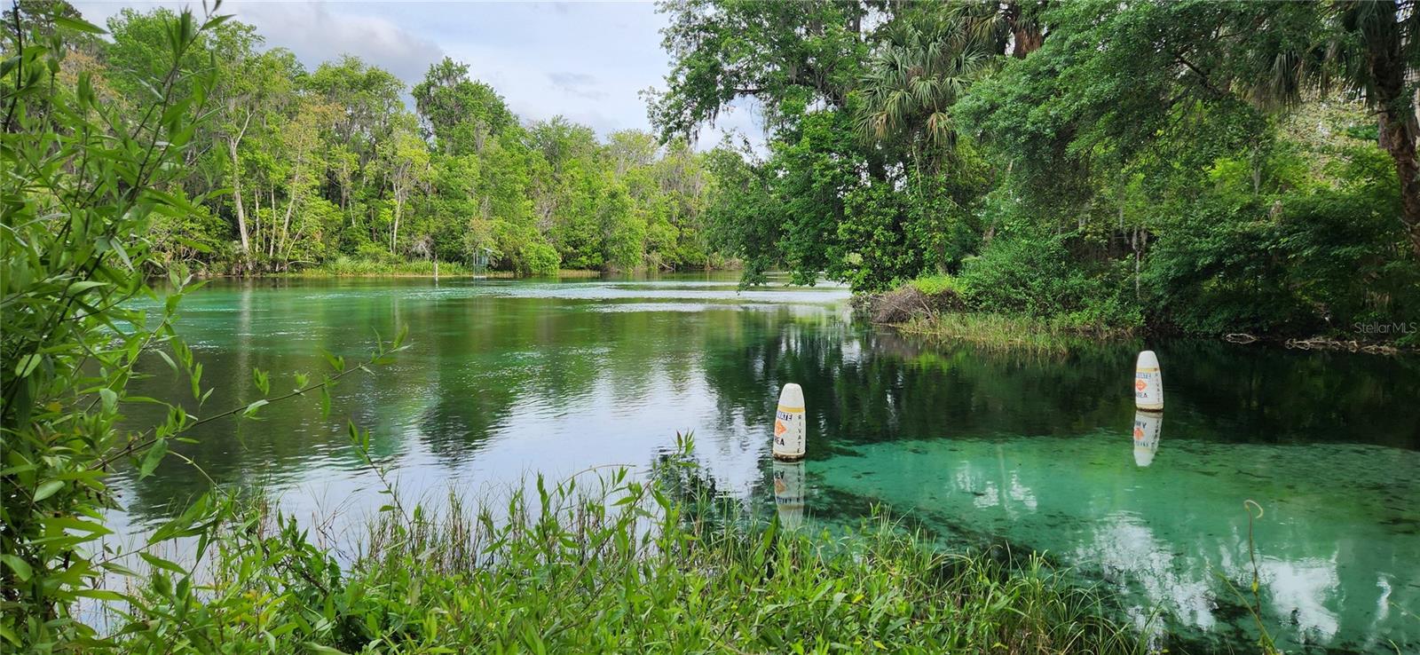 TBD SW 98TH PL, DUNNELLON, FL, 34431