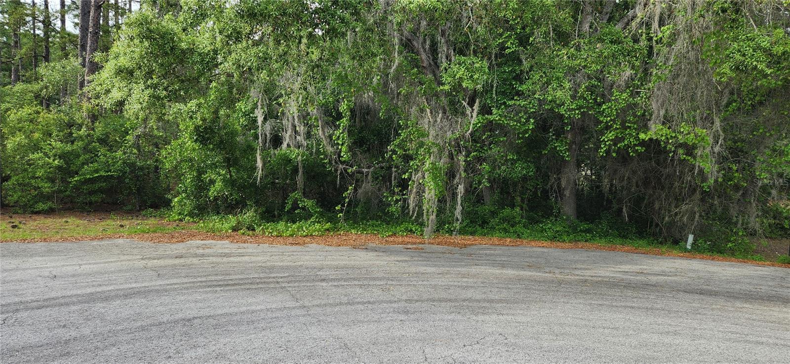 TBD SW 98TH PL, DUNNELLON, FL, 34431