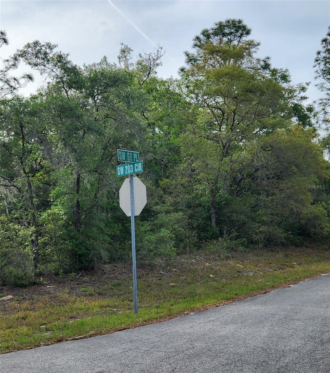 TBD SW 98TH PL, DUNNELLON, FL, 34431