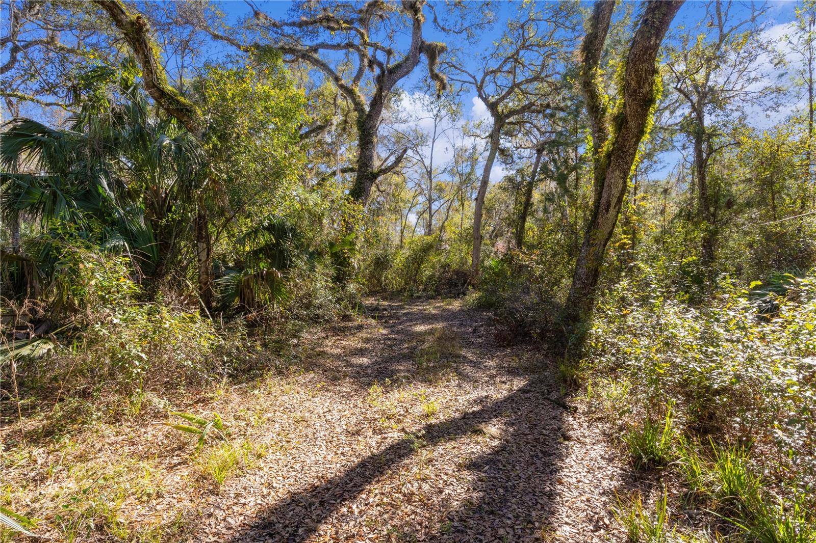 10601 NOTTINGHAM, INVERNESS, FL, 34450