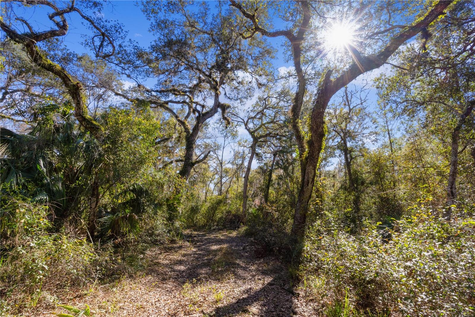 10601 NOTTINGHAM, INVERNESS, FL, 34450