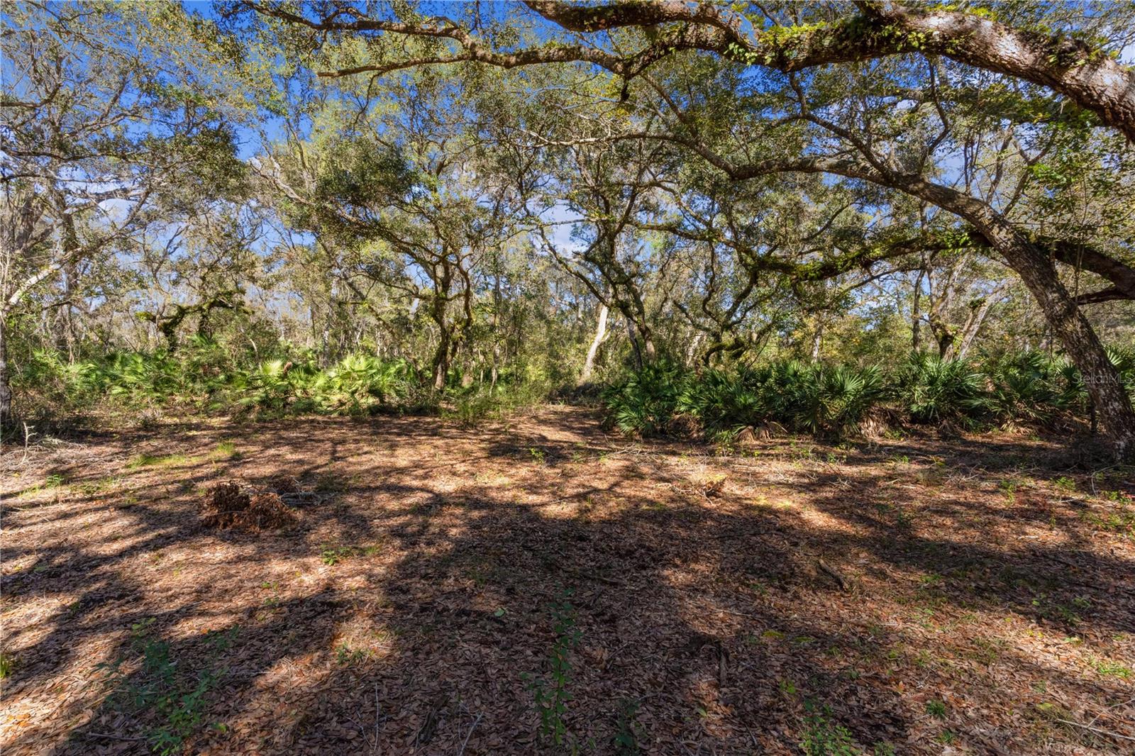 10601 NOTTINGHAM, INVERNESS, FL, 34450