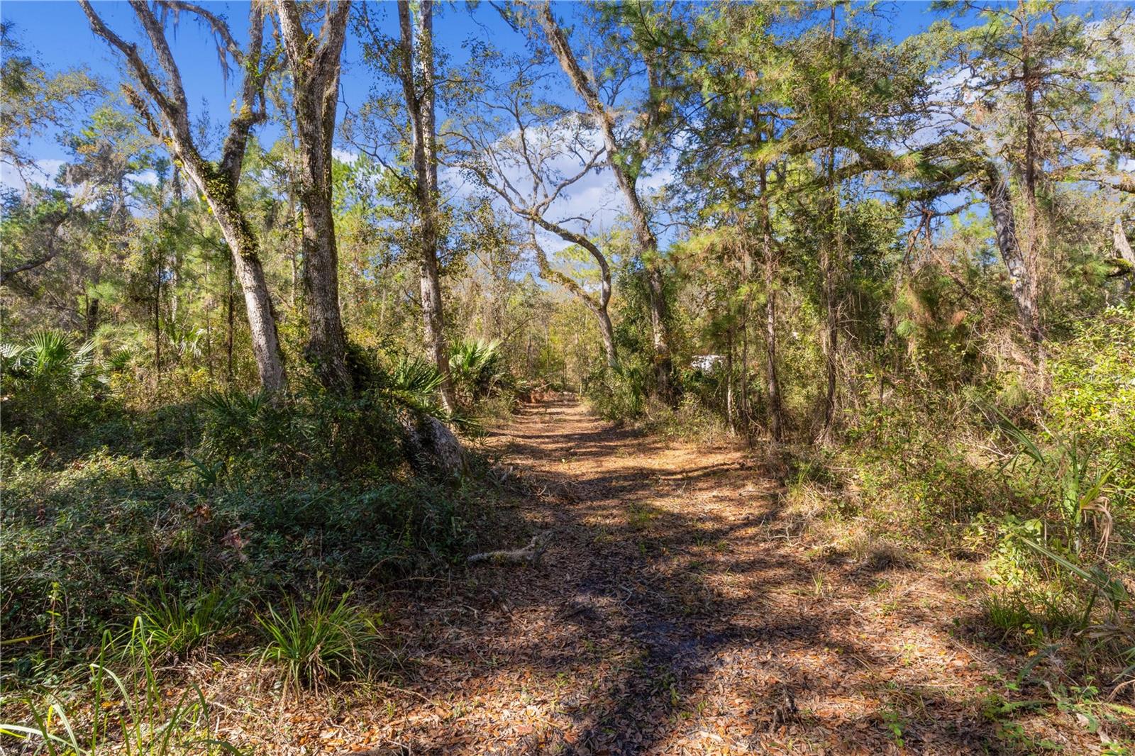 10601 NOTTINGHAM, INVERNESS, FL, 34450