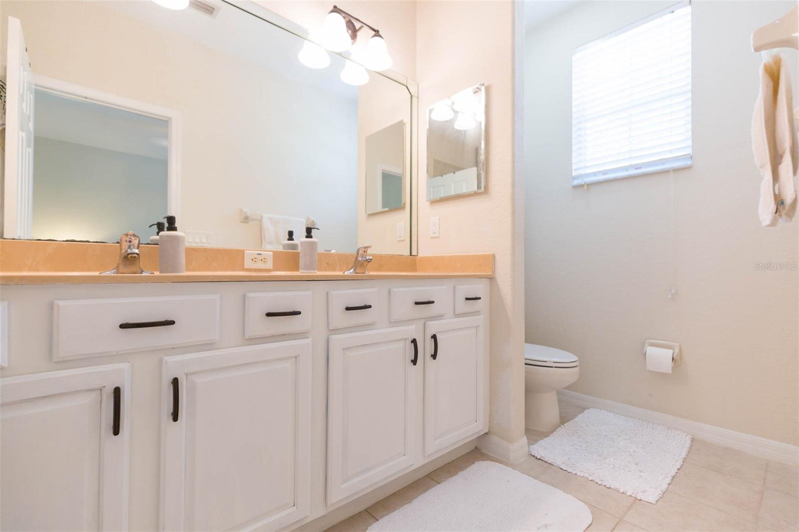 26902 JUNIPER BAY DR, WESLEY CHAPEL, FL, 33544