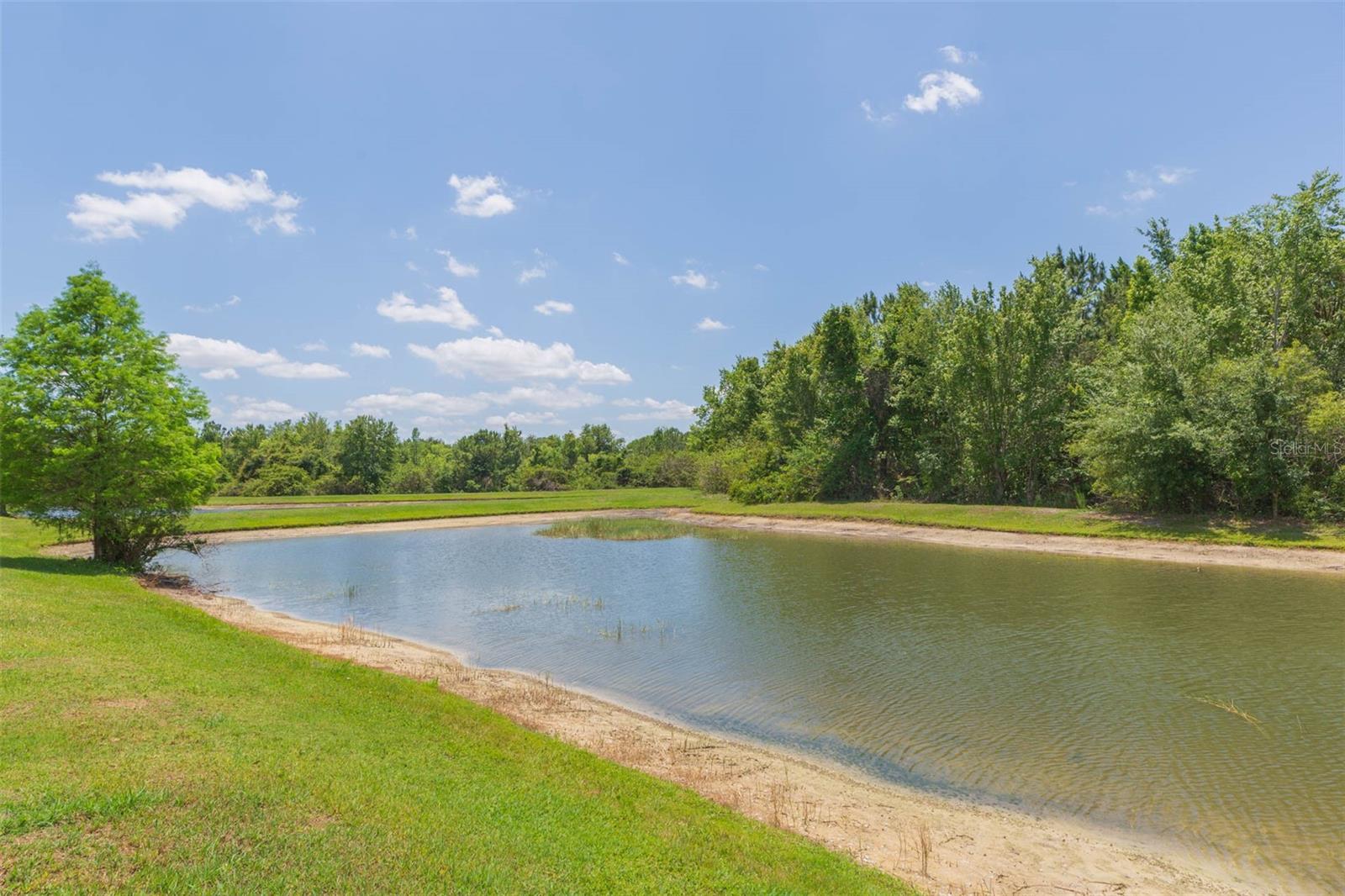 26902 JUNIPER BAY DR, WESLEY CHAPEL, FL, 33544