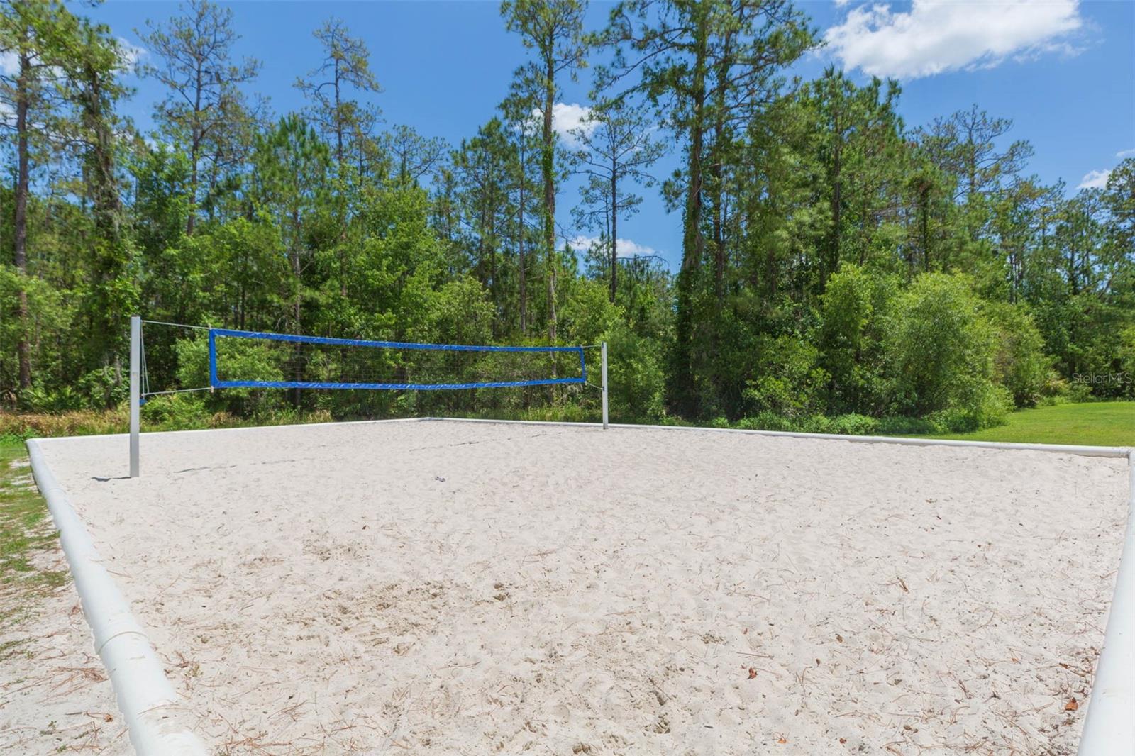 26902 JUNIPER BAY DR, WESLEY CHAPEL, FL, 33544