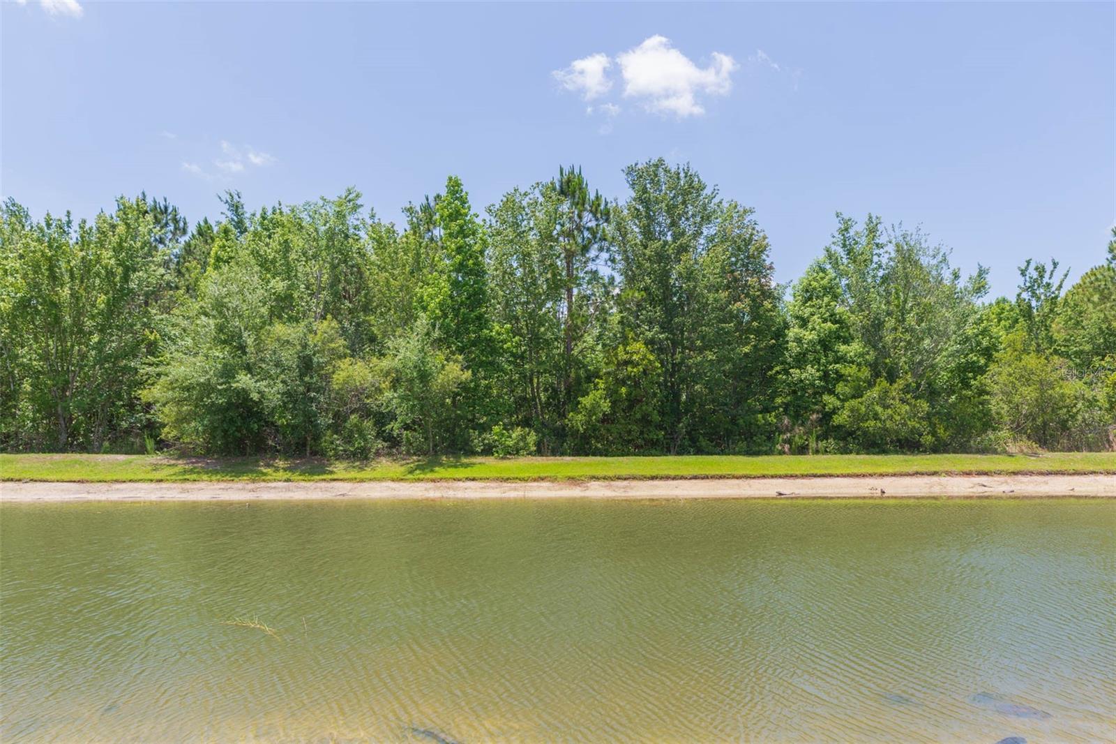 26902 JUNIPER BAY DR, WESLEY CHAPEL, FL, 33544
