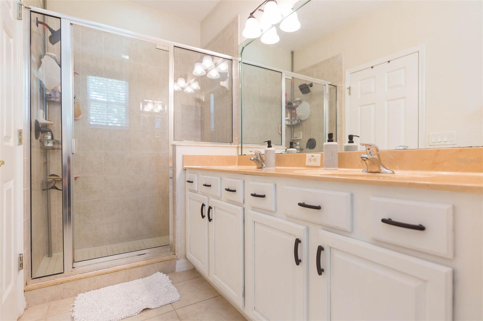 26902 JUNIPER BAY DR, WESLEY CHAPEL, FL, 33544
