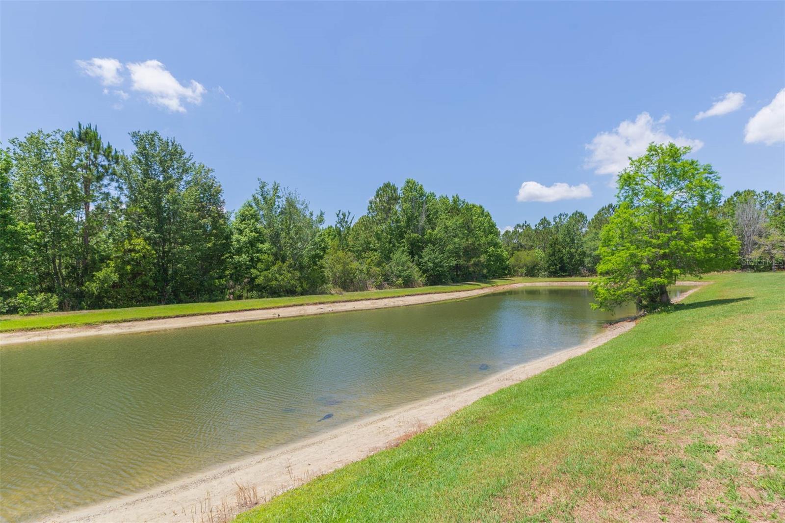 26902 JUNIPER BAY DR, WESLEY CHAPEL, FL, 33544