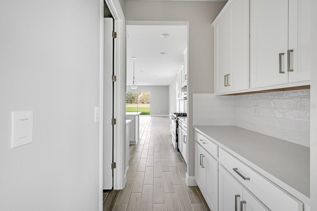 2061 LONGLINER LOOP, WESLEY CHAPEL, FL, 33543