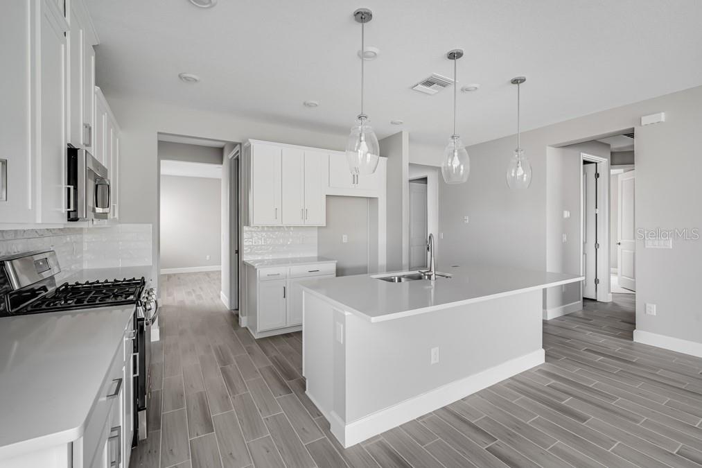 2061 LONGLINER LOOP, WESLEY CHAPEL, FL, 33543