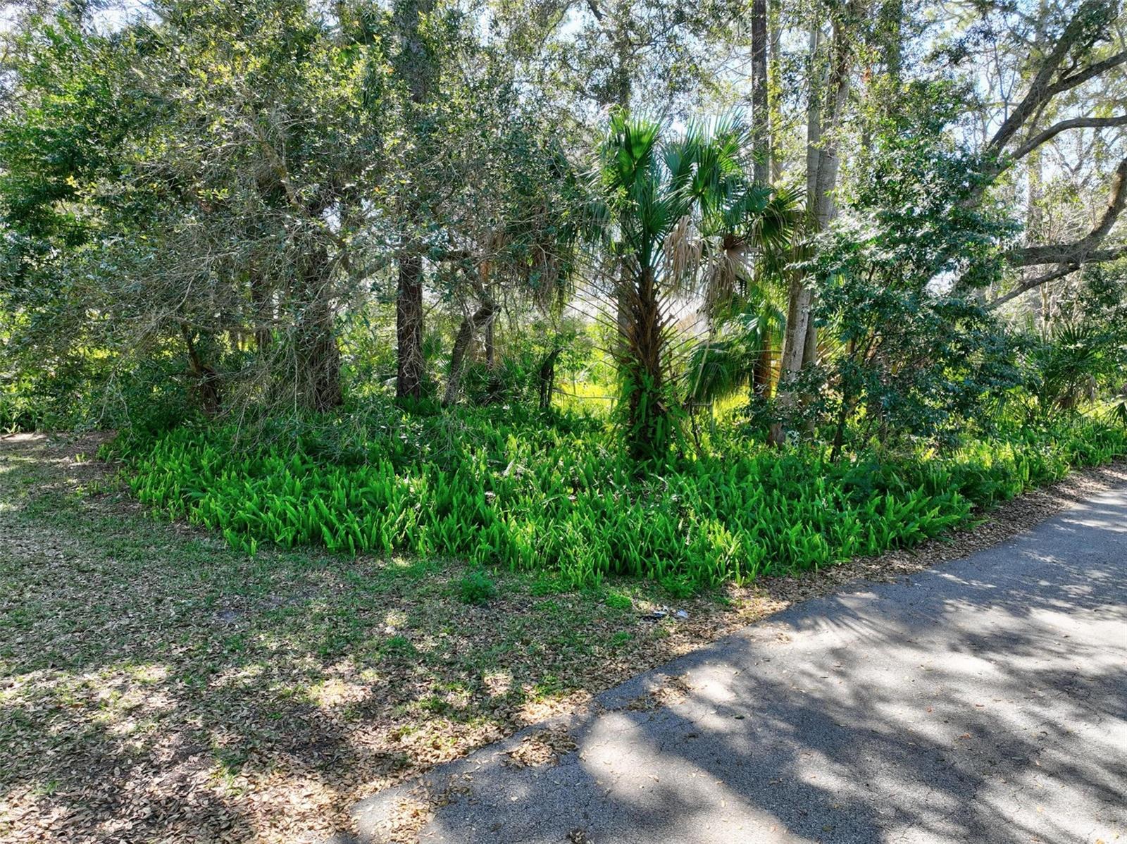 4252 OLD A1A, PALM COAST, FL, 32137