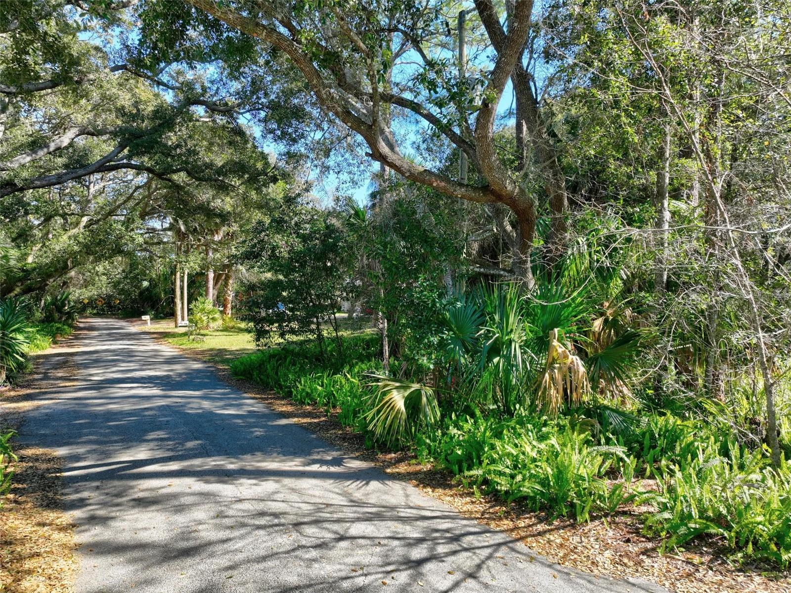 4252 OLD A1A, PALM COAST, FL, 32137