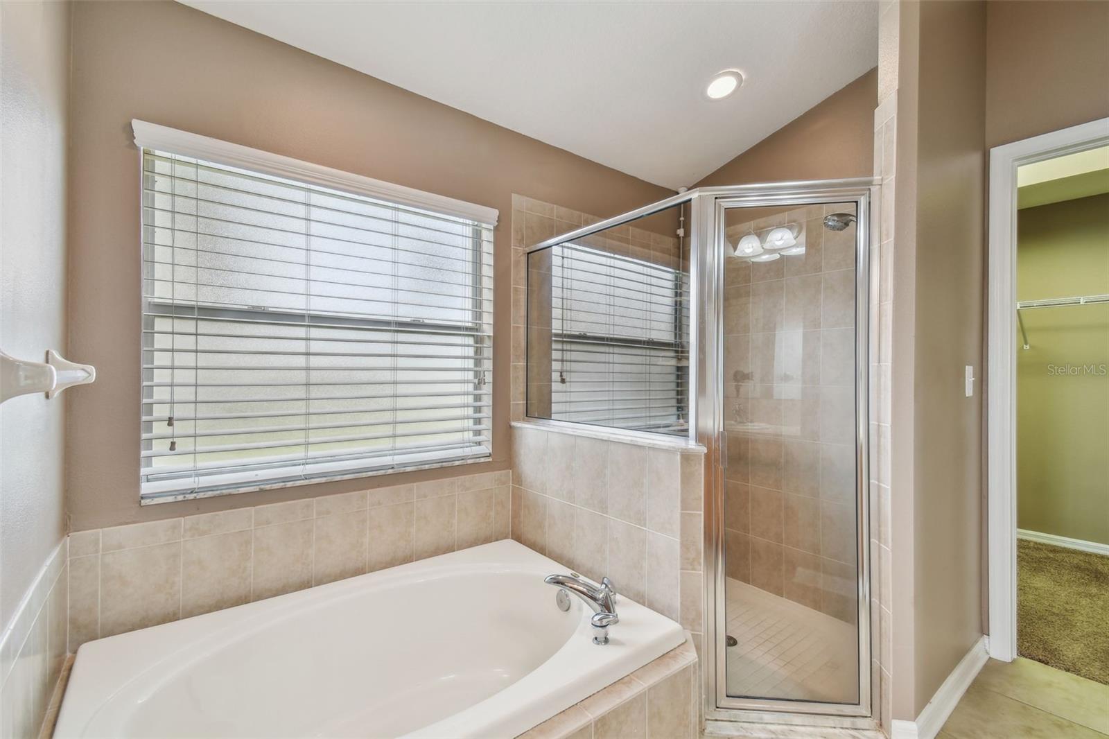6944 RUNNER OAK DR, WESLEY CHAPEL, FL, 33545