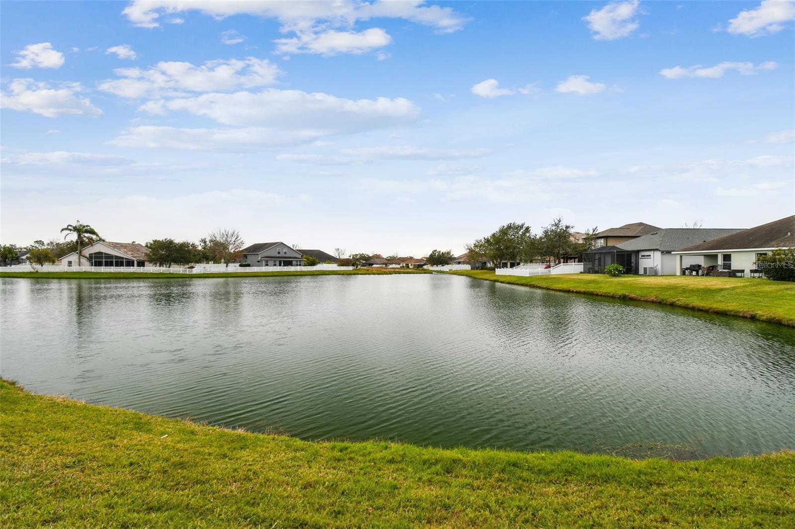 6944 RUNNER OAK DR, WESLEY CHAPEL, FL, 33545
