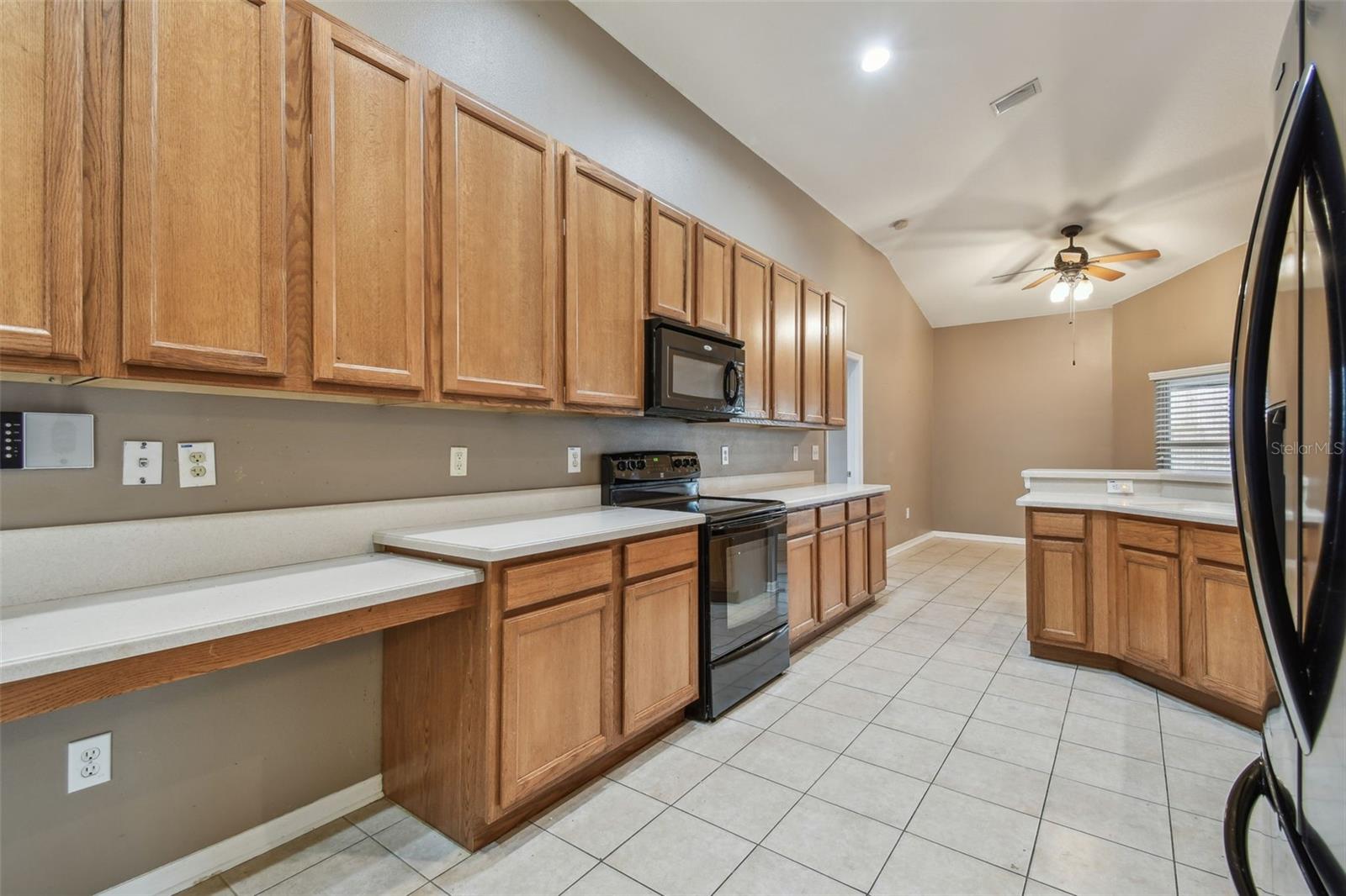 6944 RUNNER OAK DR, WESLEY CHAPEL, FL, 33545