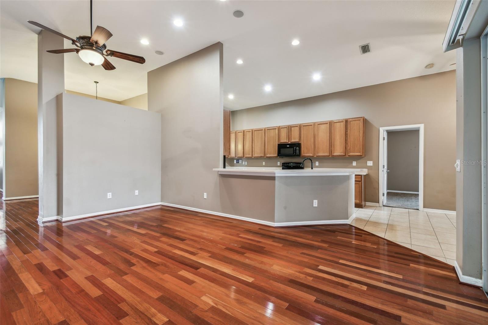 6944 RUNNER OAK DR, WESLEY CHAPEL, FL, 33545