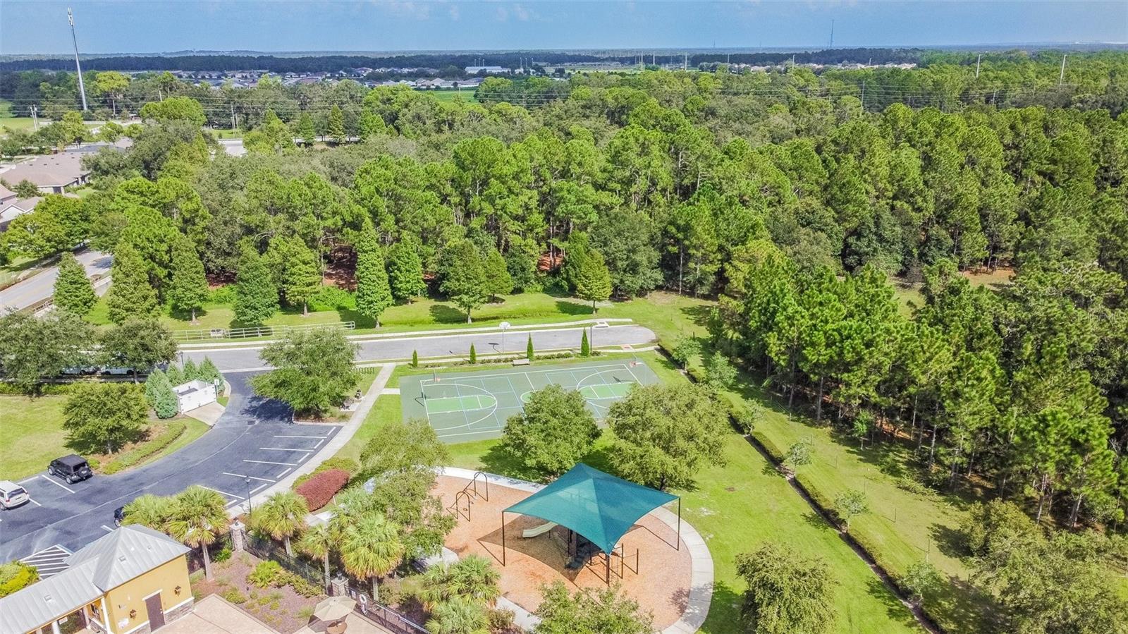 6944 RUNNER OAK DR, WESLEY CHAPEL, FL, 33545