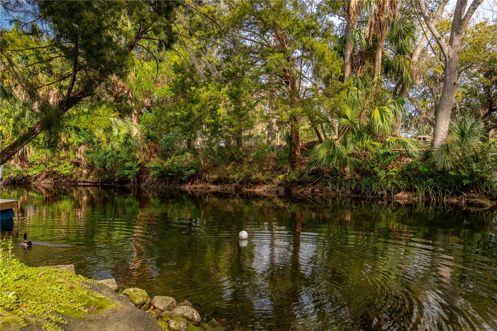 0 SNAPPER LN, HUDSON, FL, 34667