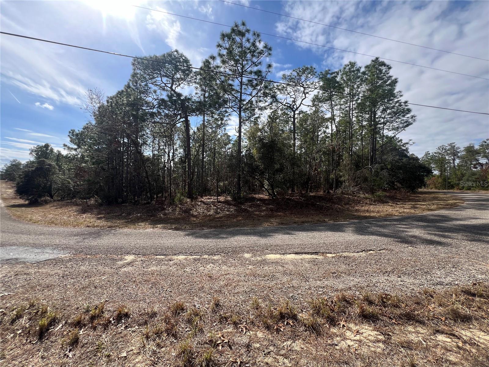 8937 N FARRINGTON DR, CITRUS SPRINGS, FL, 34433