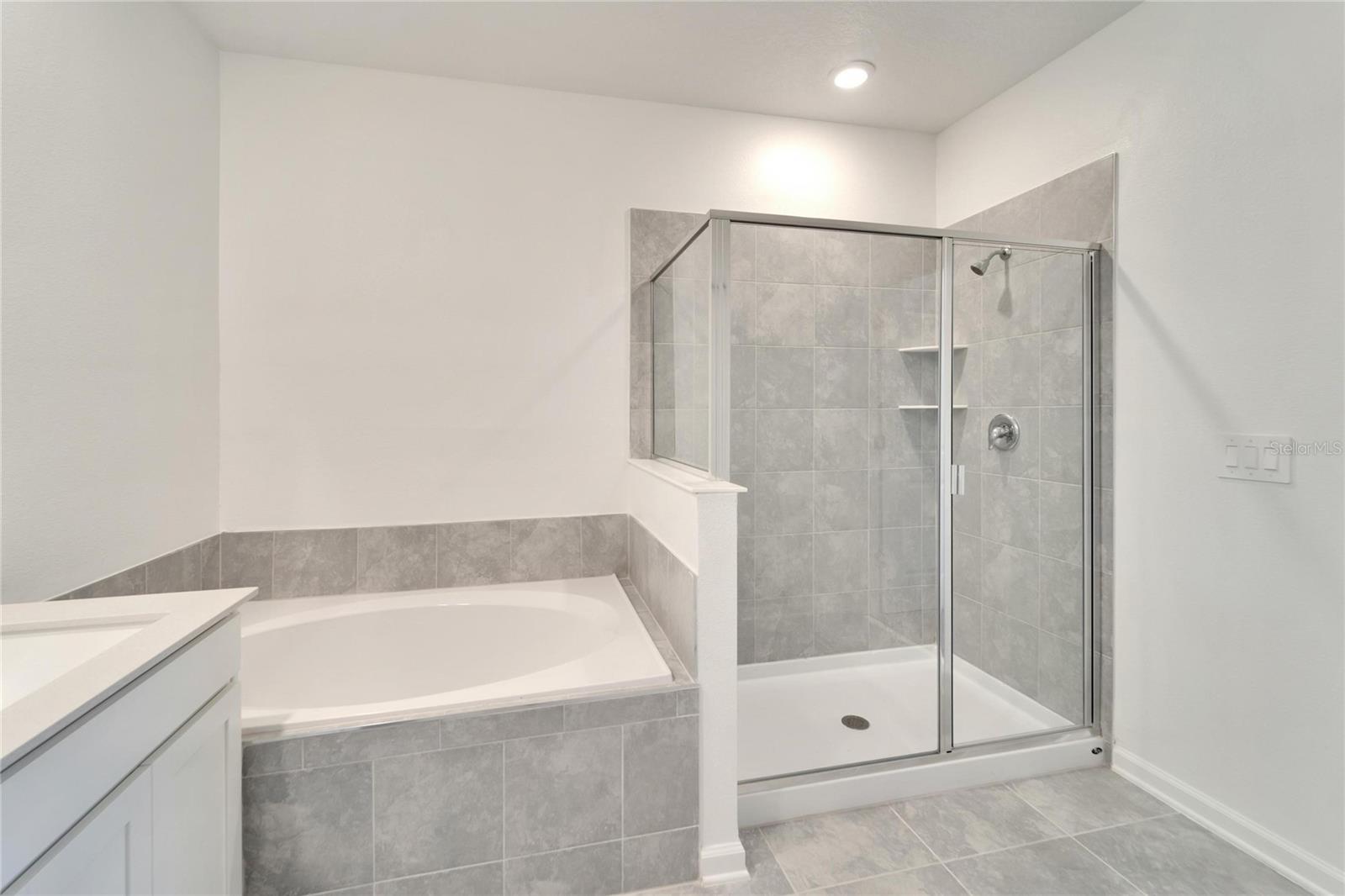 9038 MULLIGAN ISLAND LN, DAVENPORT, FL, 33896