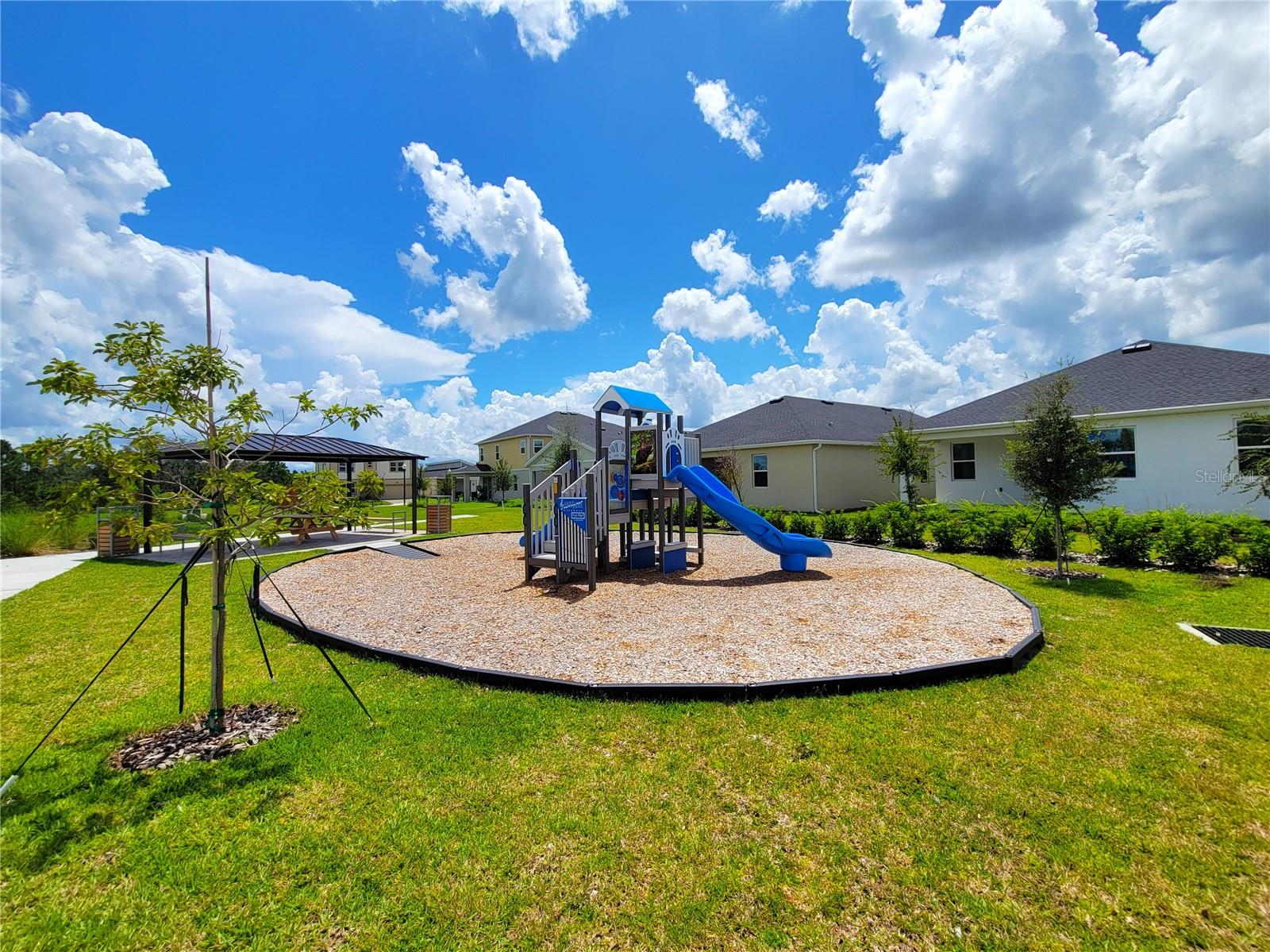 9038 MULLIGAN ISLAND LN, DAVENPORT, FL, 33896