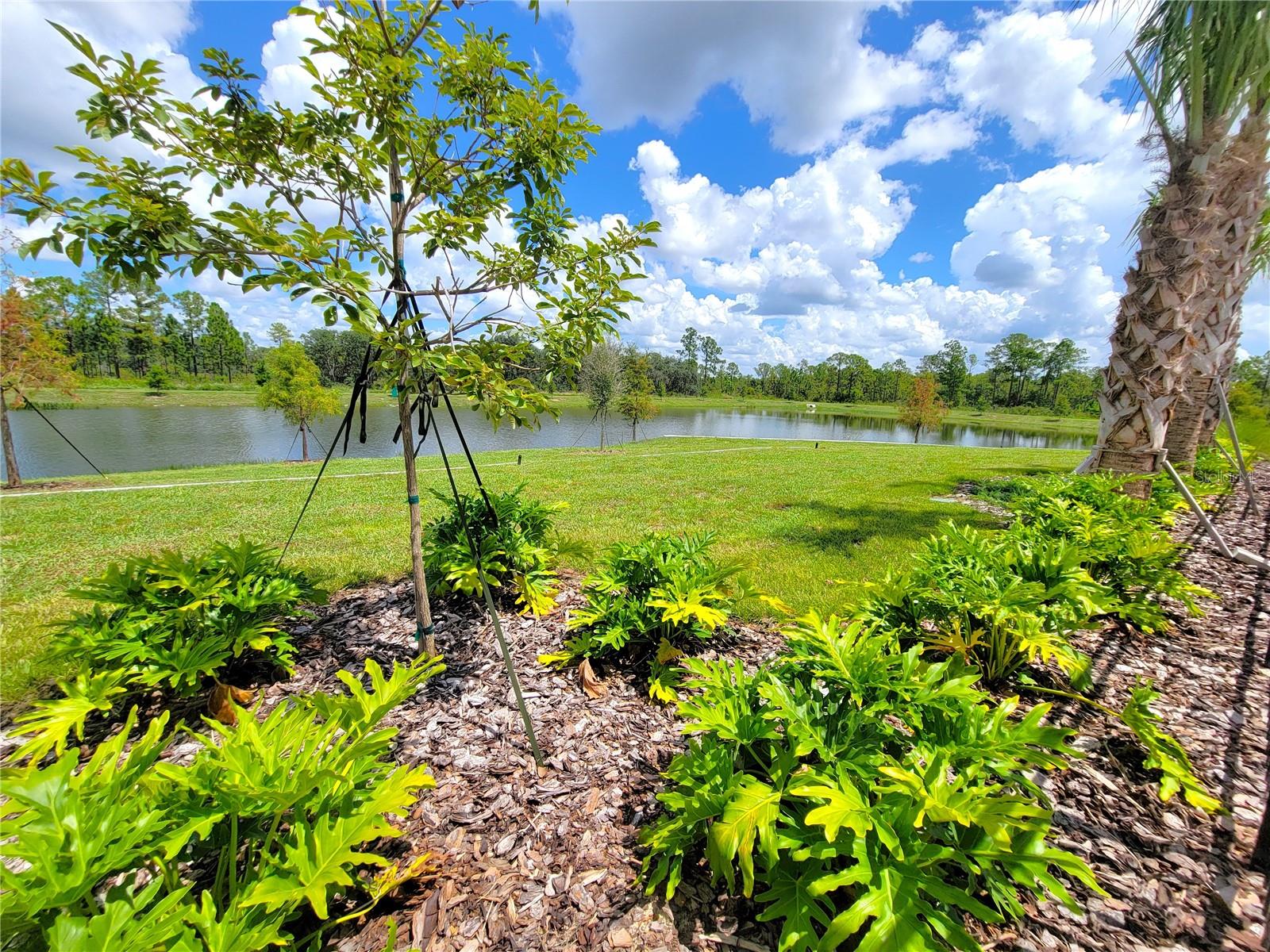 9038 MULLIGAN ISLAND LN, DAVENPORT, FL, 33896