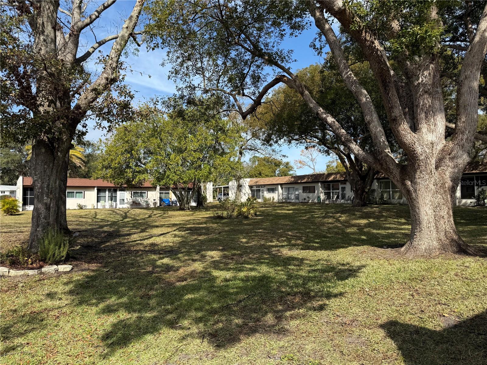3115 MISSION GROVE DR, PALM HARBOR, FL, 34684