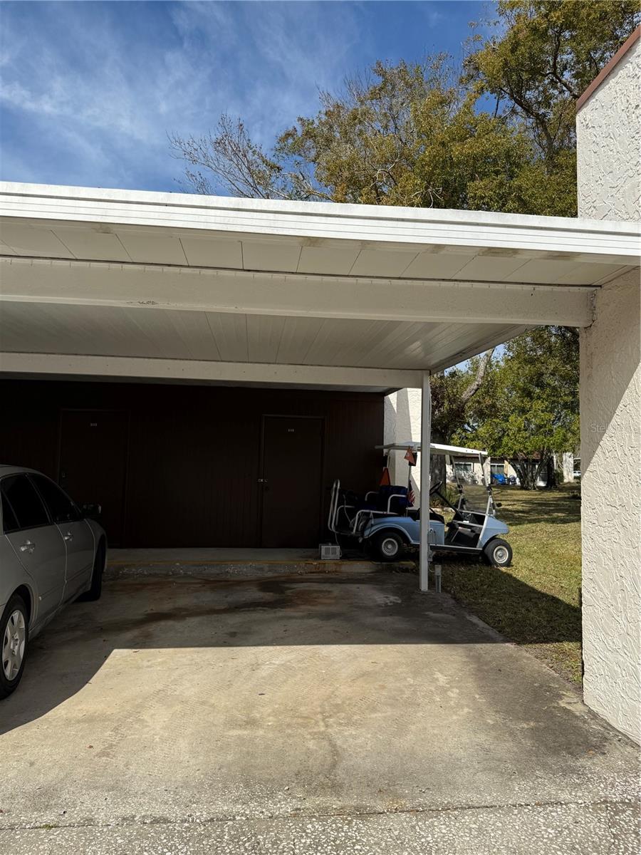 3115 MISSION GROVE DR, PALM HARBOR, FL, 34684