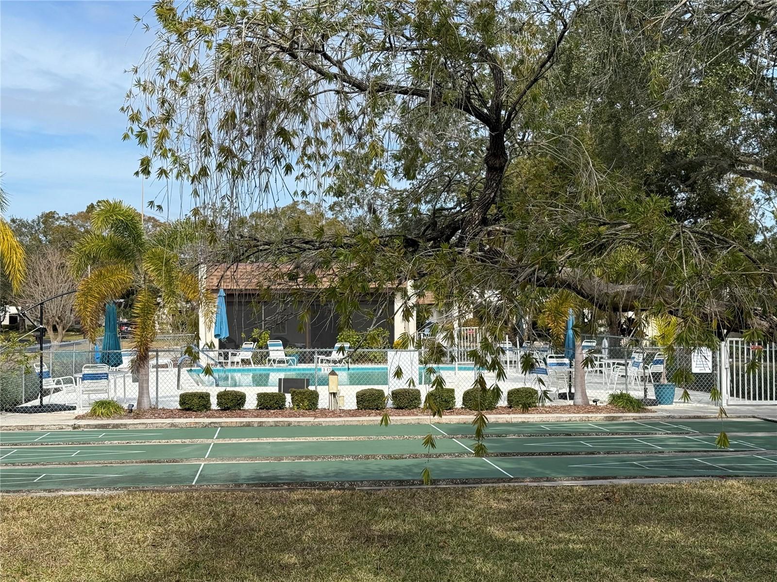 3115 MISSION GROVE DR, PALM HARBOR, FL, 34684