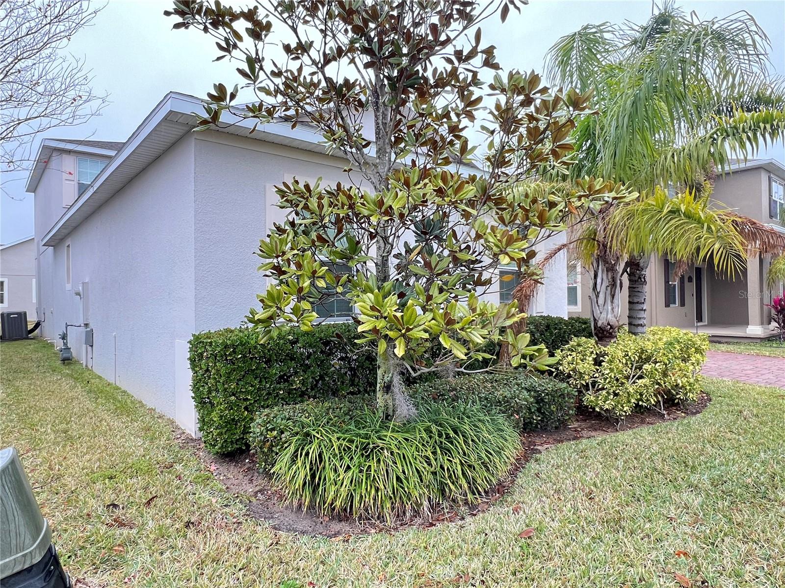 15079 EVERGREEN OAK LOOP, WINTER GARDEN, FL, 34787