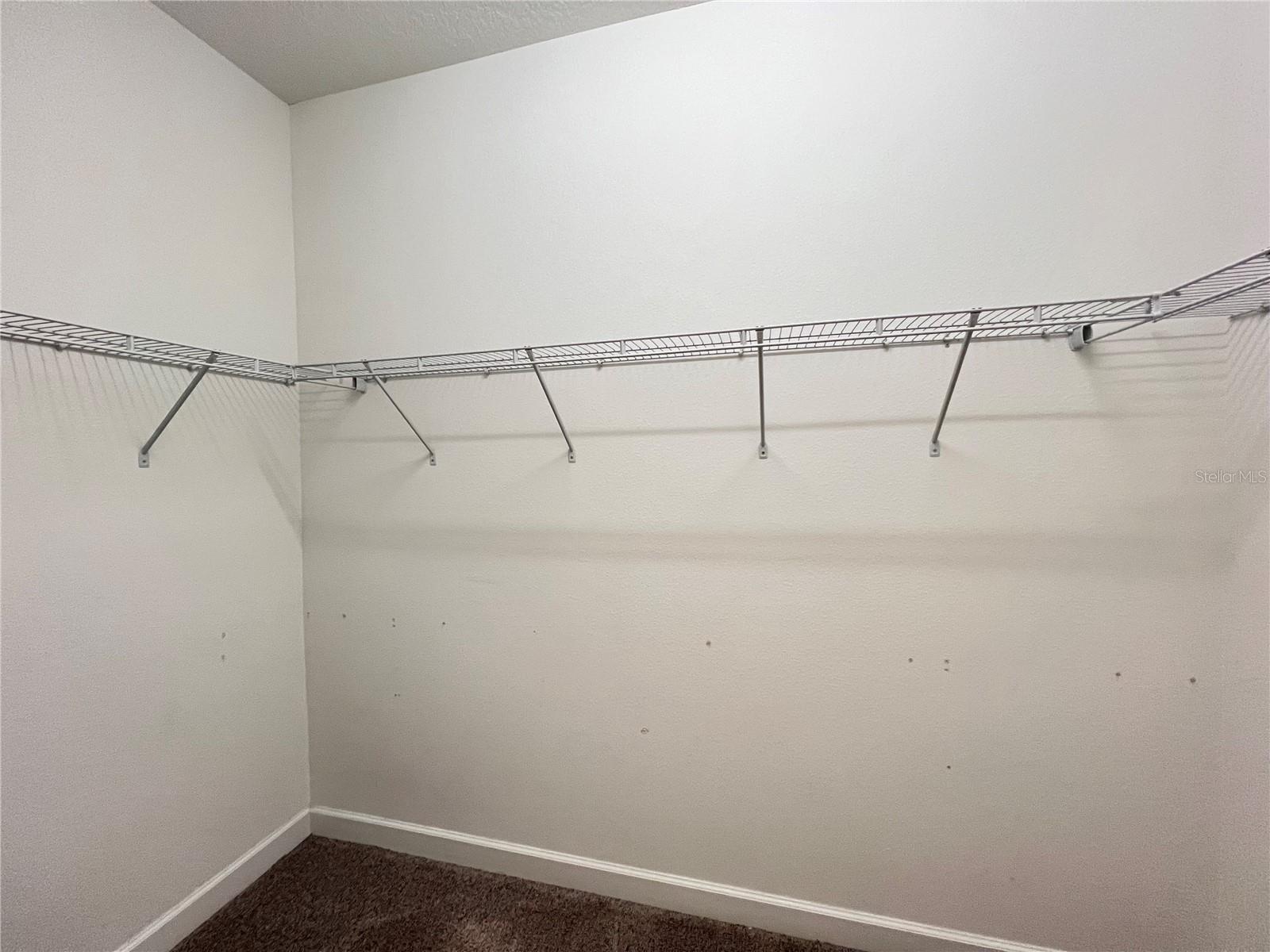 15079 EVERGREEN OAK LOOP, WINTER GARDEN, FL, 34787