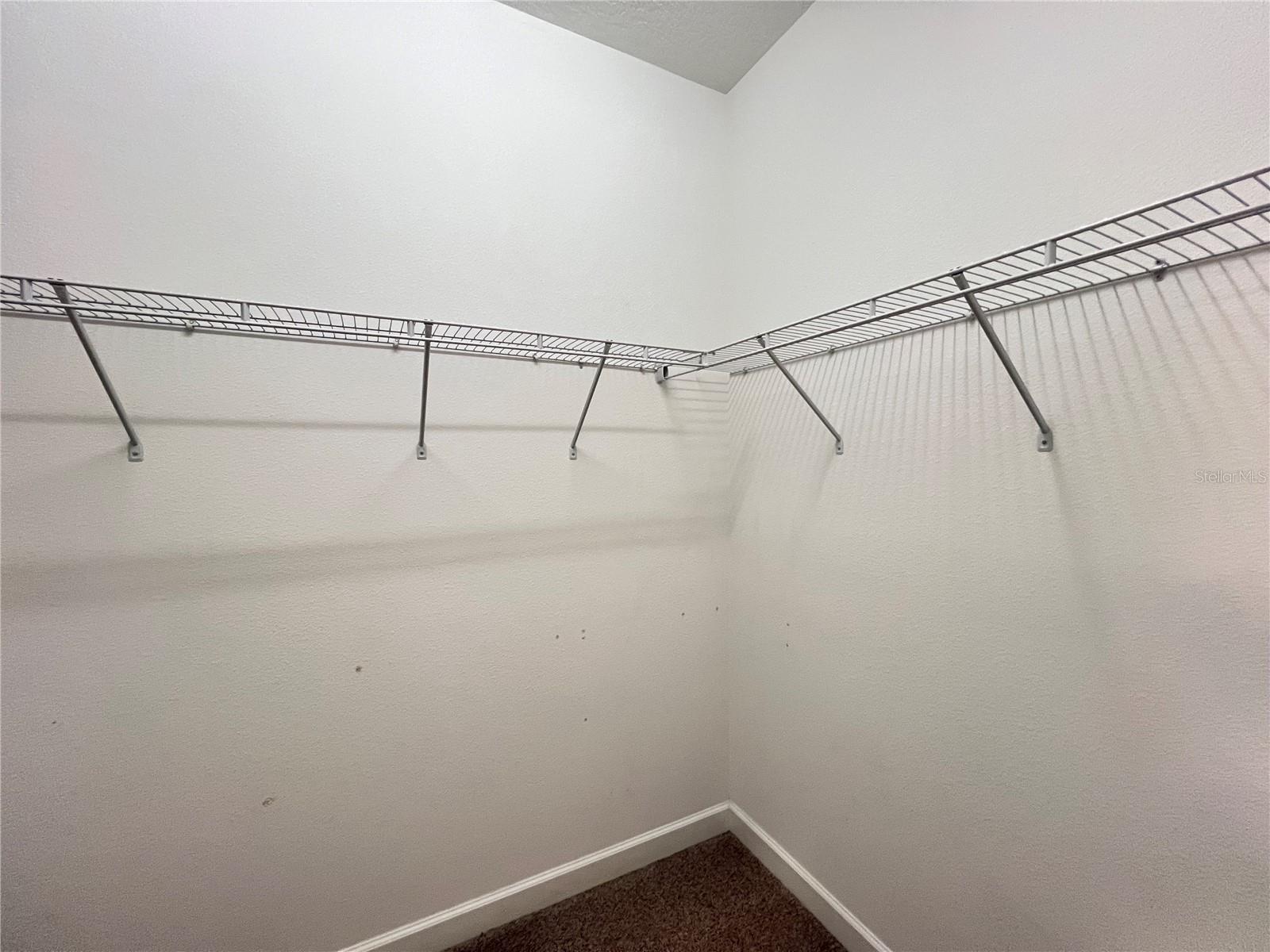 15079 EVERGREEN OAK LOOP, WINTER GARDEN, FL, 34787