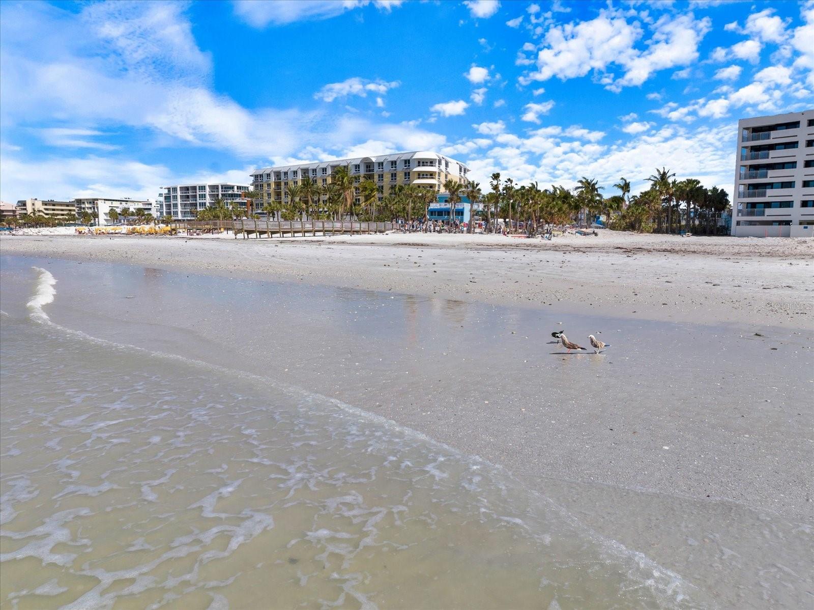 1604 STICKNEY POINT RD #102, SARASOTA, FL, 34231