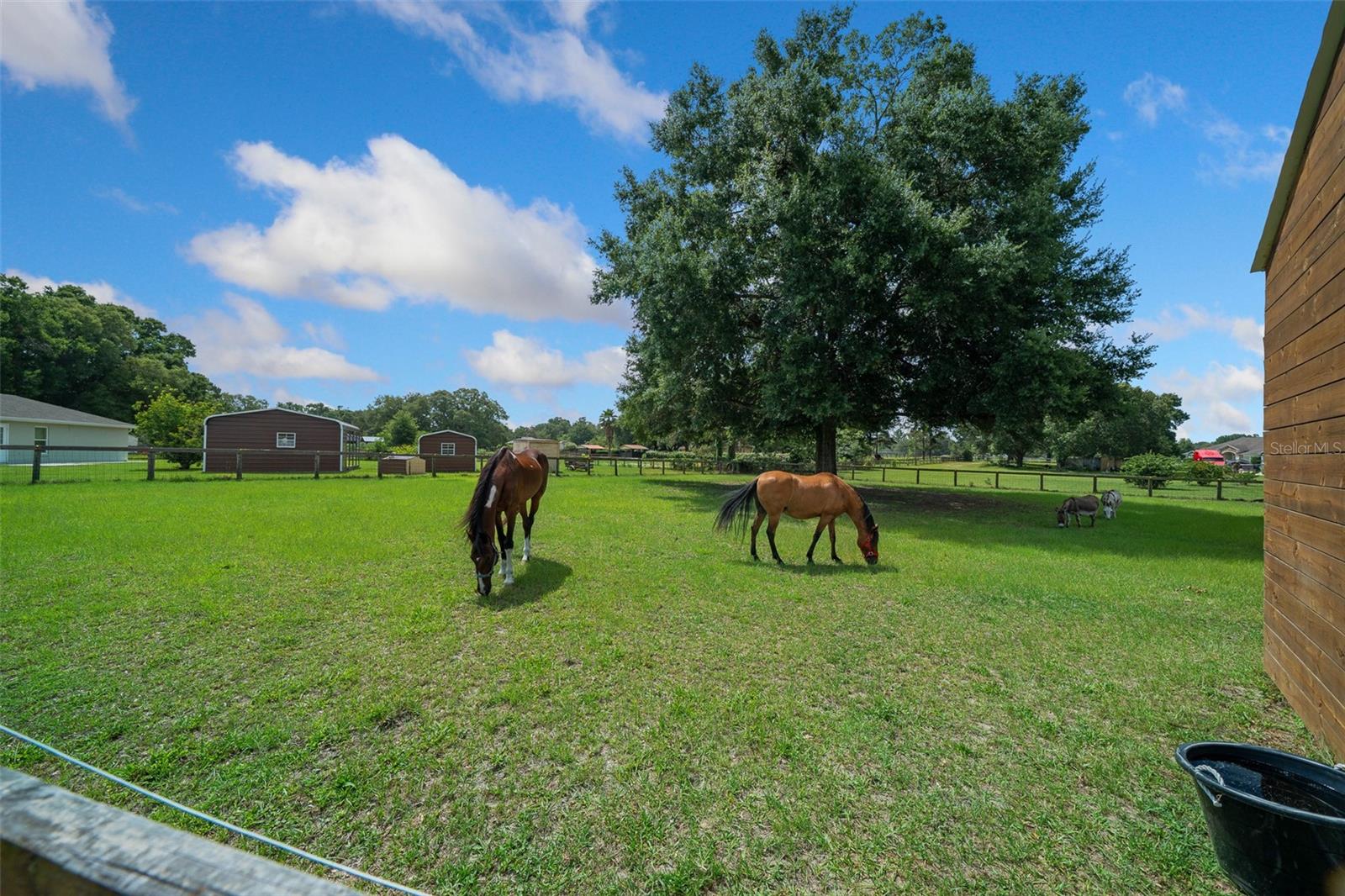 14130 SW 8TH AVE, OCALA, FL, 34473