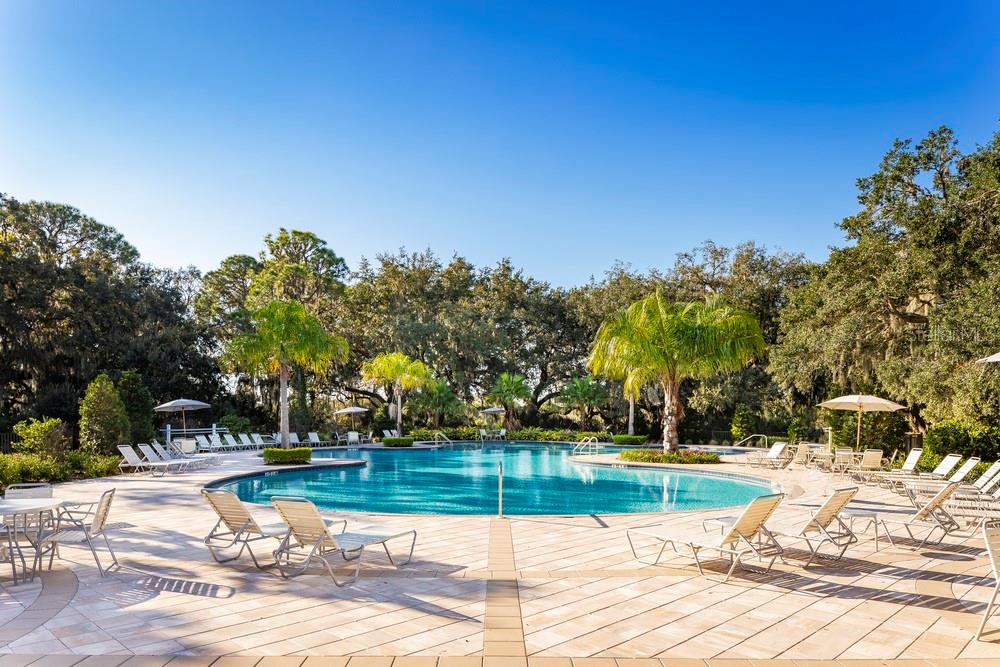 10131 ZENNIA LN, PARRISH, FL, 34219