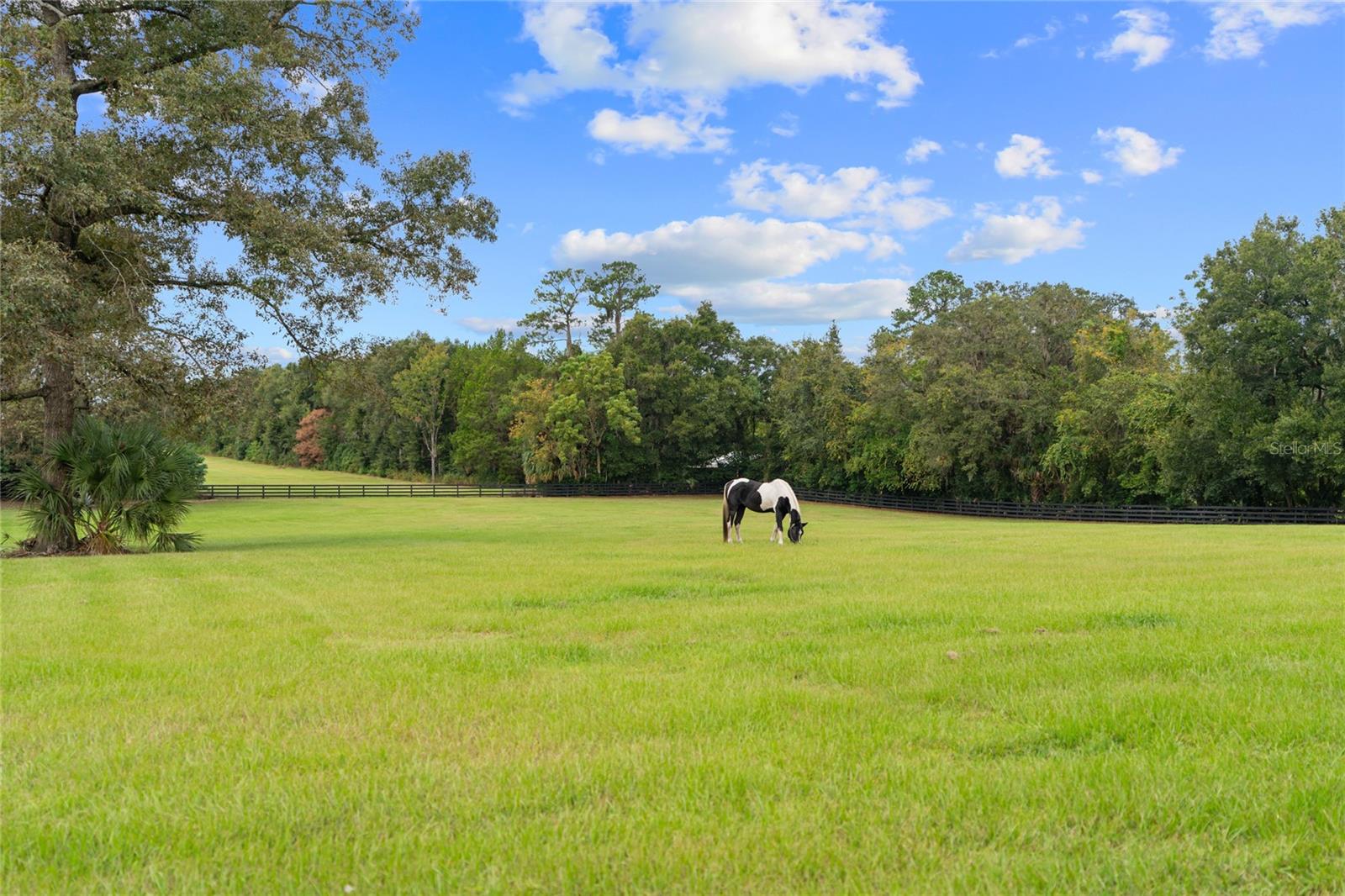 1811/1815 SE 59TH ST, OCALA, FL, 34480