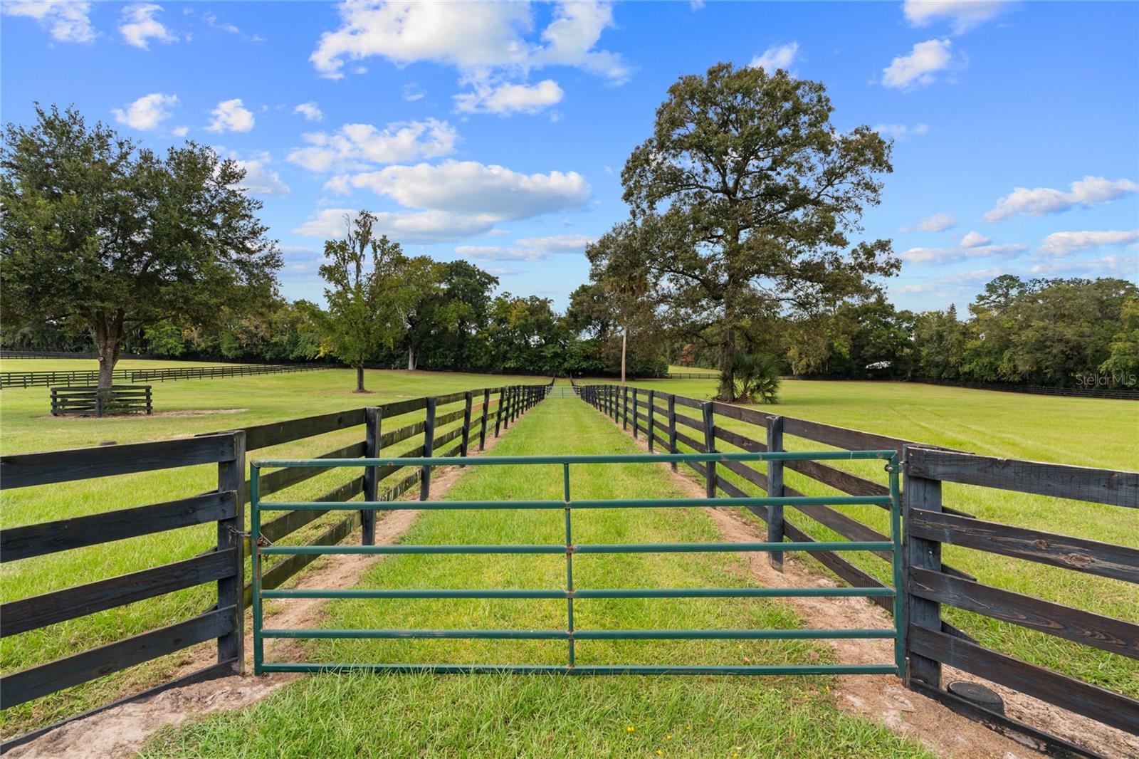 1811/1815 SE 59TH ST, OCALA, FL, 34480