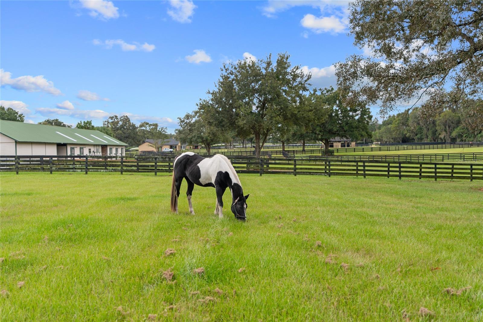 1811/1815 SE 59TH ST, OCALA, FL, 34480