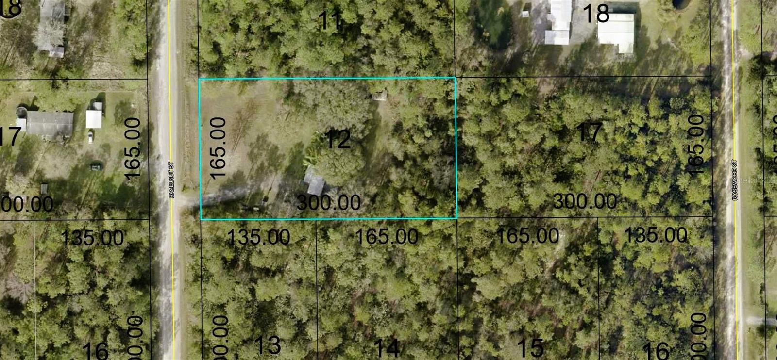 2311 HAZELNUT ST, BUNNELL, FL, 32110