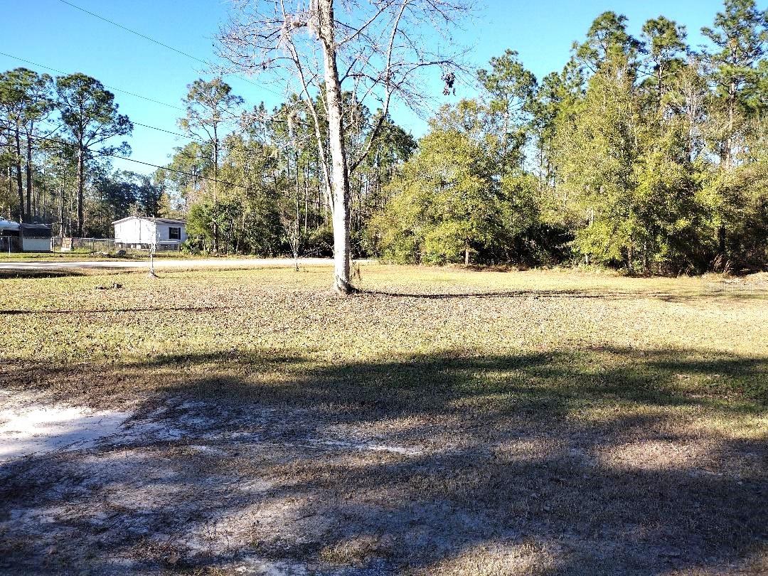 2311 HAZELNUT ST, BUNNELL, FL, 32110
